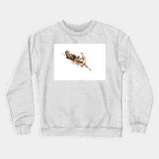 Owl - Feather Crewneck Sweatshirt